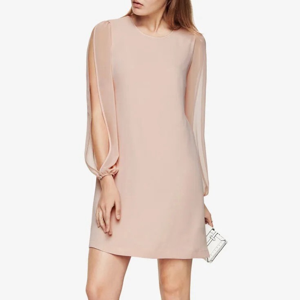 BCBGMaxAzria Soft Pink Long Sleeve Dress